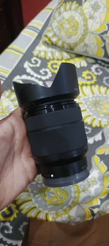 sony 28 70mm full frame lens 7