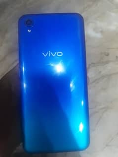 vivo