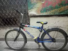 Bicycle for sale