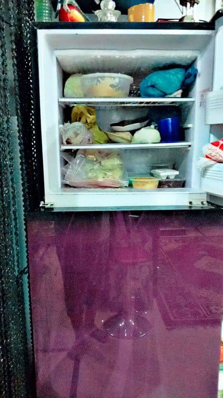 orient refrigerator crystal (glass door) 5