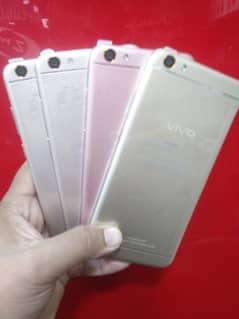 vivo y66