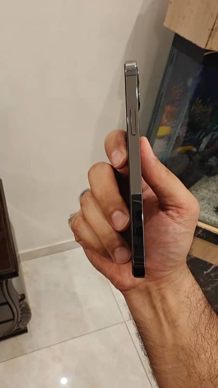 Iphone 12 pro dual pta 1