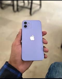 IPhone 12 (purple) JV