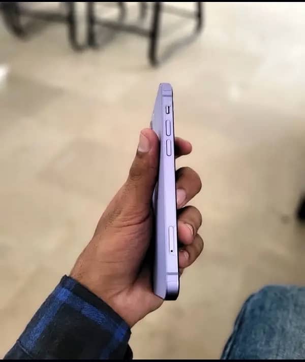 IPhone 12 (purple) JV 1