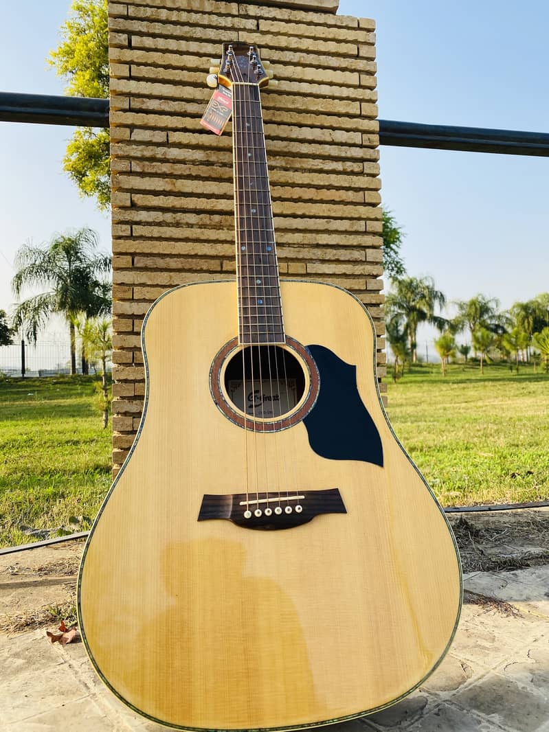 Acoustic Bignners Professhional Original guitar at Happy Guitar Club 5