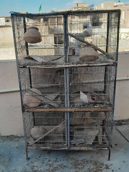 ostalian cages 3