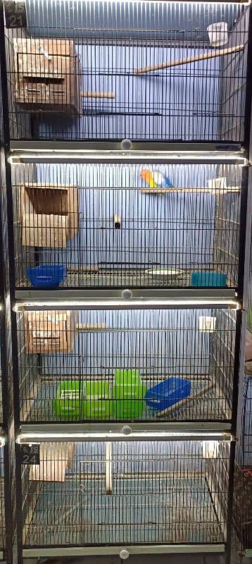 Birds cage for sale ( read description ) 0