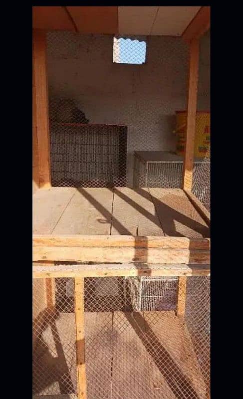 Hens and parrots' cage 0