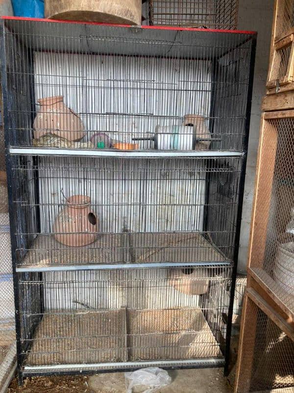 Hens and parrots' cage 6