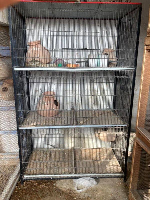 Hens and parrots' cage 8