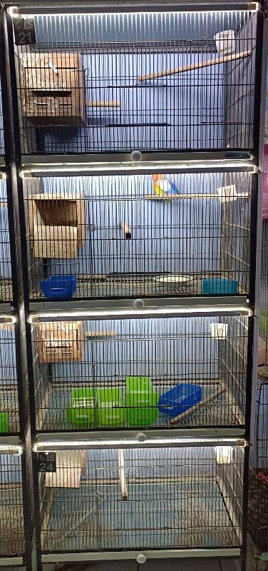 Cage for sale in good condition 1