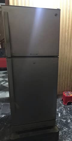 Pel Arctic Refridgerator New