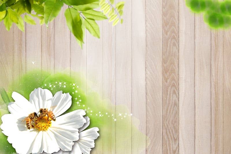 wall paper new design avilable. 5