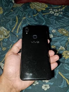 vivo