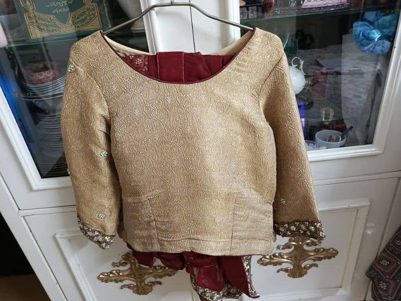 Party Wear Mehroon Saaree with golden Banarsi blouse 3