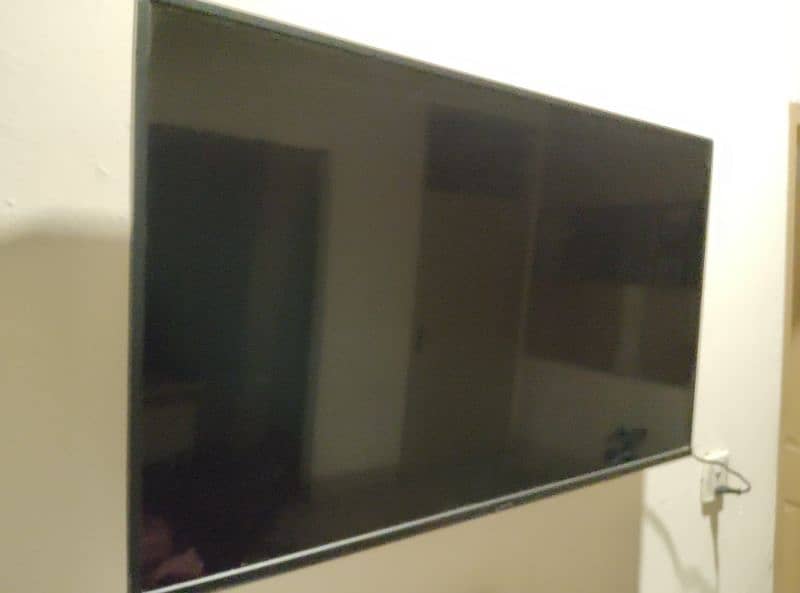 multynet company tv 50  inches 0