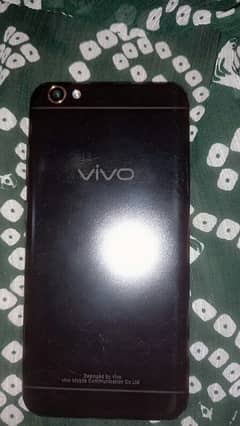 vivo