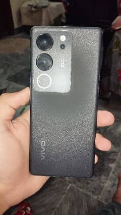 Vivo | V29,5g