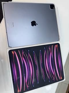 ipad pro m2 12.9 inches