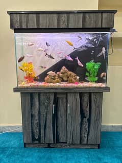 fish Aquarium sale