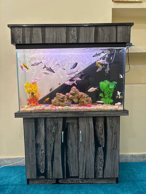 fish Aquarium sale 1