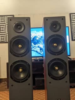 Tower speakers.