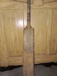 hardball cricket bat