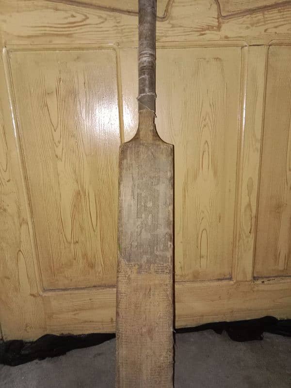 hardball cricket bat 0