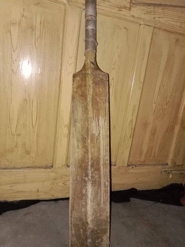 hardball cricket bat 1