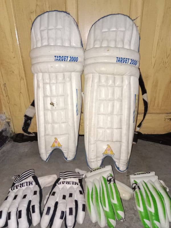 hardball cricket pads and batting gloves 0