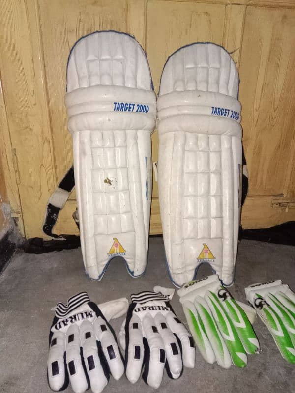 hardball cricket pads and batting gloves 1