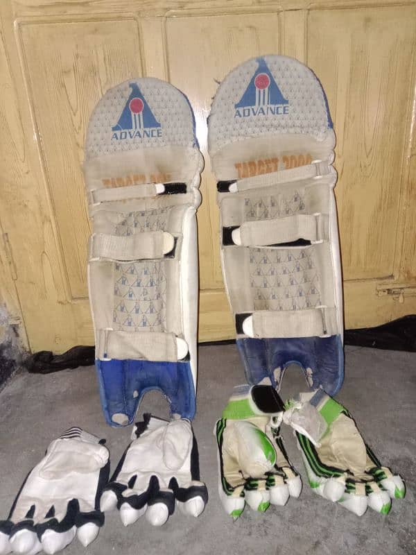 hardball cricket pads and batting gloves 2