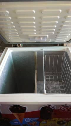 Single door Freezer