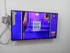 TCL SMART LED