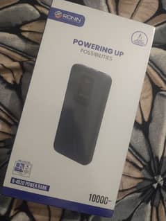 Ronin R-4020 Power Bank 10000mah