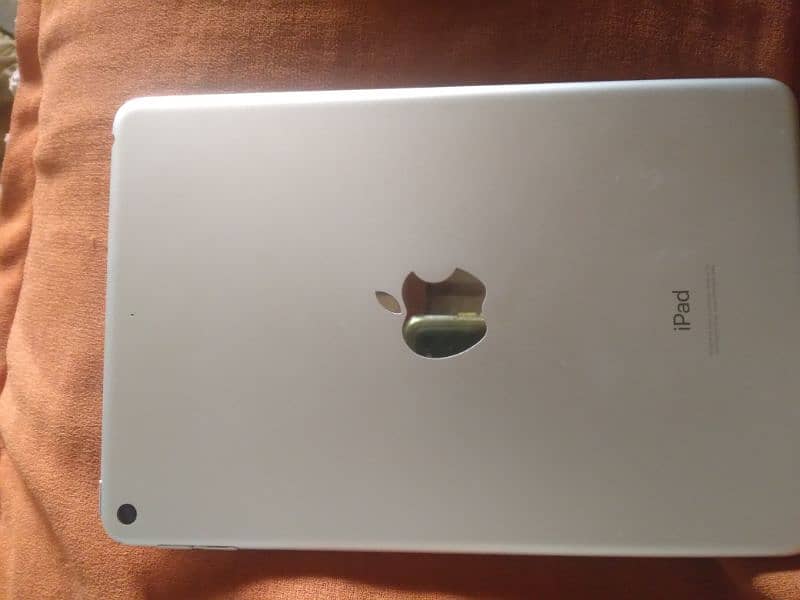 Ipad mini 5 1