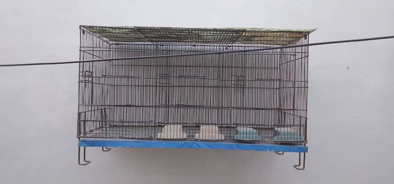 folding Cage 1