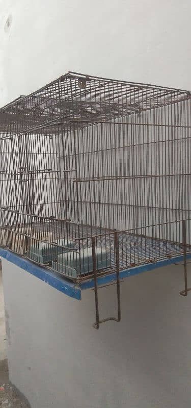 folding Cage 3