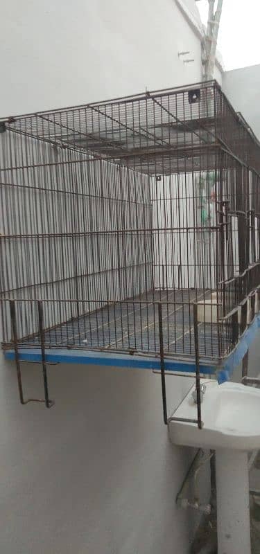 folding Cage 4