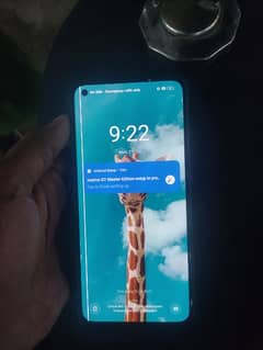 Realme GT Master Edition