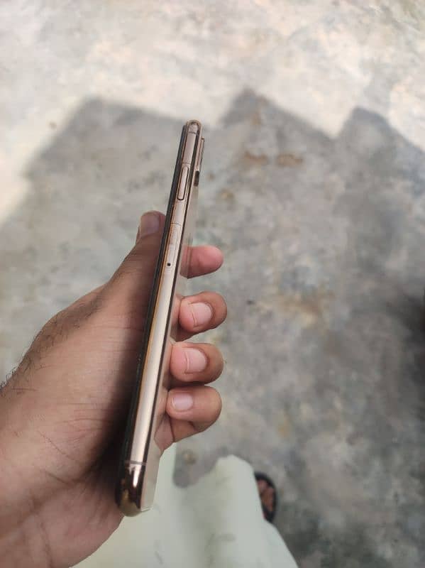 XS MAX gold non pta 1