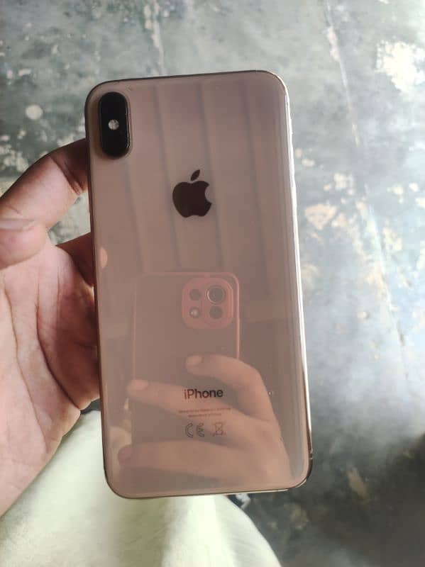 XS MAX gold non pta 17