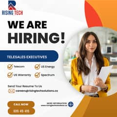 Sales Executive