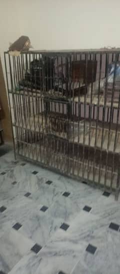 chicken shop cage