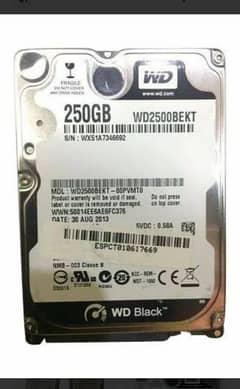 WD  250 Gb health 0