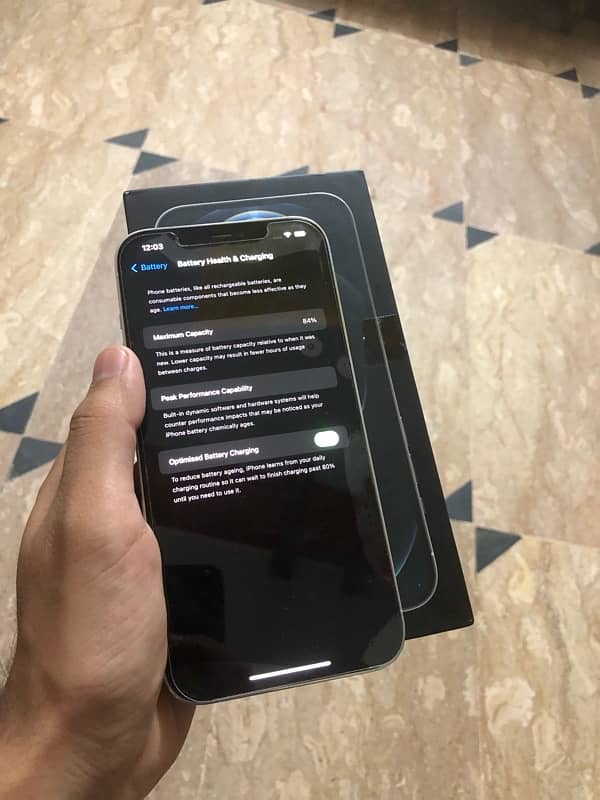 iphone 12 pro max 256 gb 8