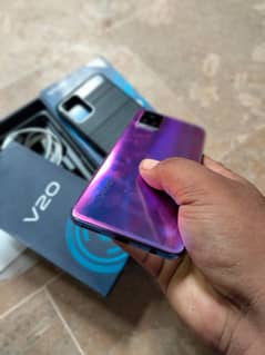 vivo