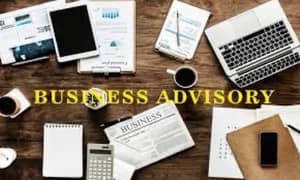 Business Advisory and Consulting