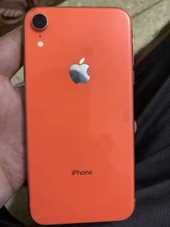 iPhone XR