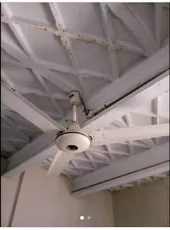 Ceiling fans